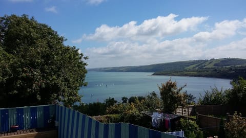 Great views of New Quay Regatta.