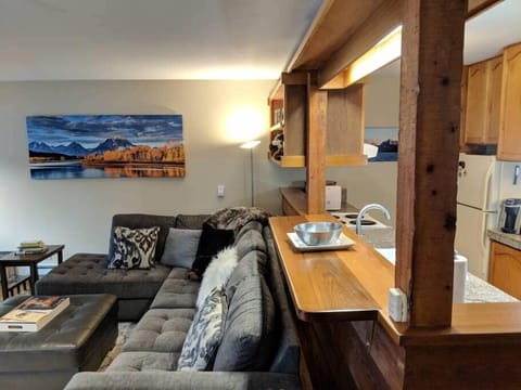 Main Living Area and Kitchen