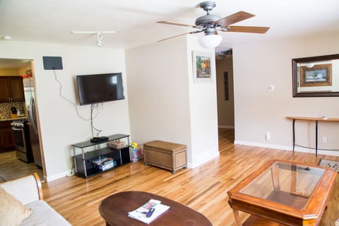 40 inch smart TV with WiFi Netflix and bluray player. Digital antenna for HD