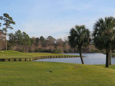 Sea Trail Golf Resort - Three premium 18 hole courses!
