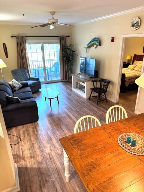 New Roku TV’s in 2024