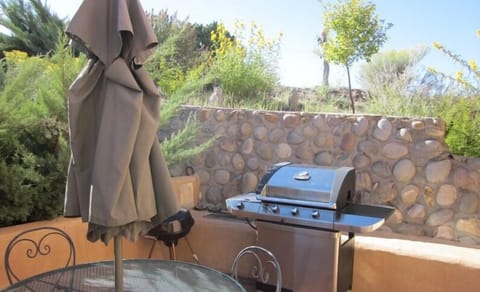 Back patio with gas grille