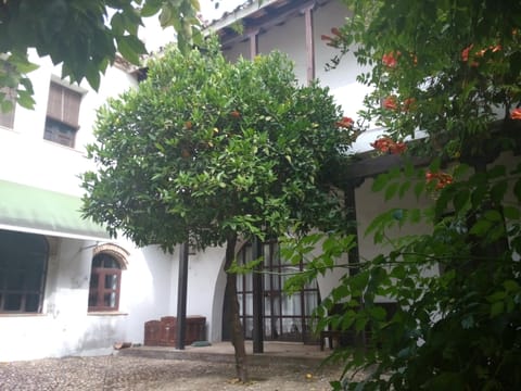MAIN  PLAYGROUND ( main patio)