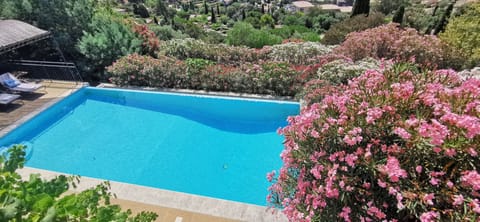Pool  5 x 11 m