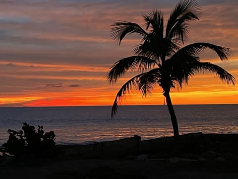 Nightly sunset views from the beach and seawall. Look for the green flash!

