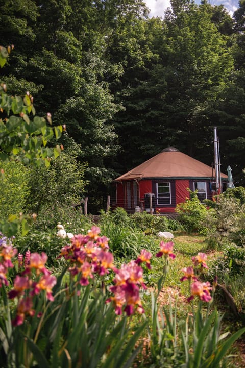 Yurt gardens in spring