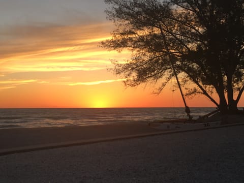 Another amazing sunset!
