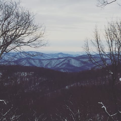 Winter views on the patio, from the living room and kitchen. 