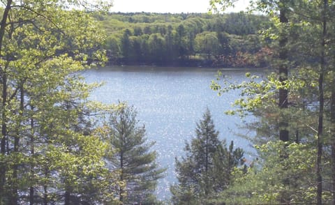 Sparkling river view


