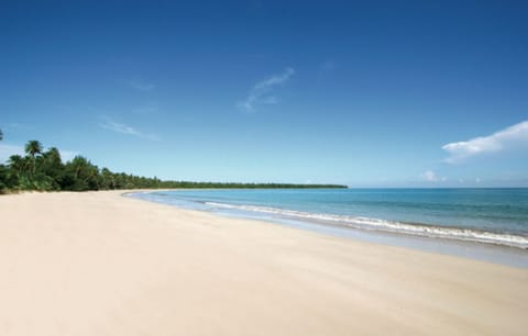 Pristine white sand and a beautiful beach with bar and towel service