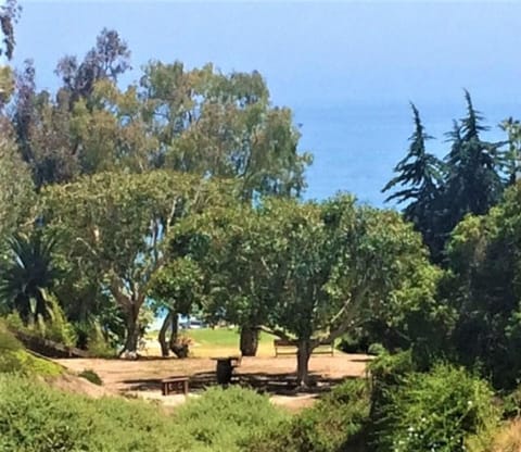 The peaceful coastal canyon