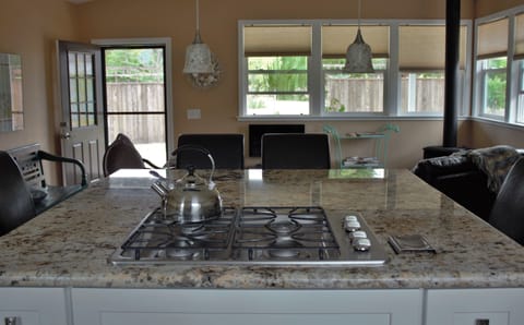 Huge granite island spans the great room for cooking, conversation and Netflix.