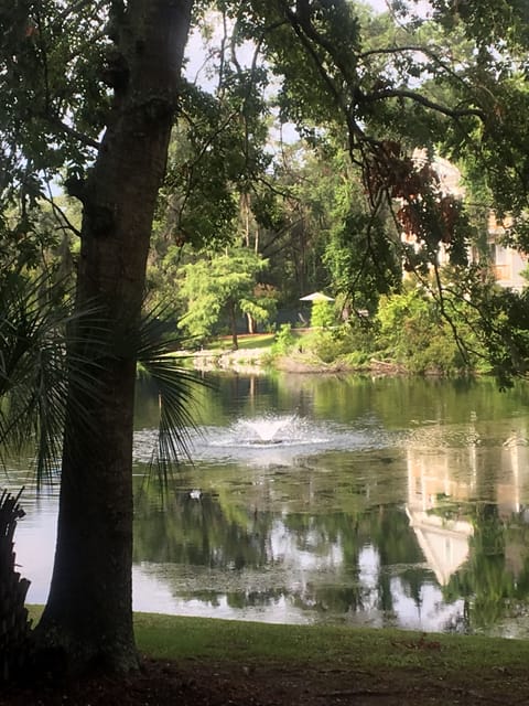 Lagoon view from balcony