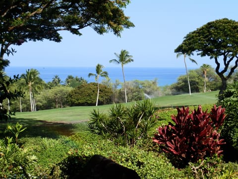 View from our Lanai (Patio).