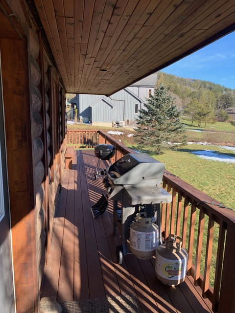 Grill winter or summer with propane or coal protected by the overhang.