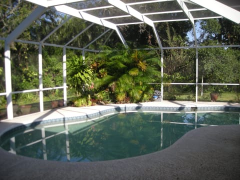 Screened in pool