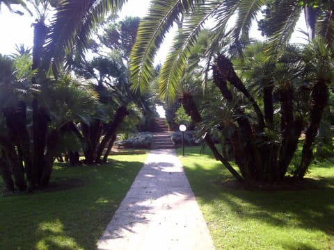 Property grounds