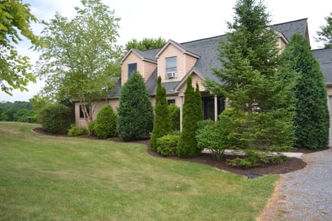The front of the house.  The trees are now gone and new landscaping is in place.