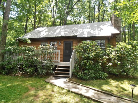 Red Run Cabin - Summer with new roof