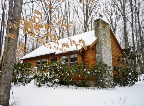 Red Run Cabin - Winter