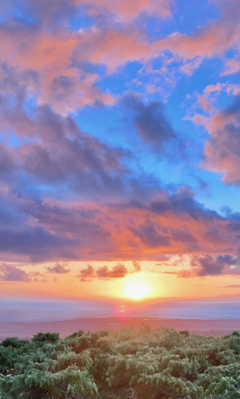 Gorgeous sunsets from the chaise lounge on the lawn