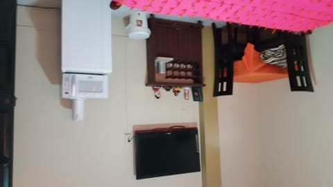 Television