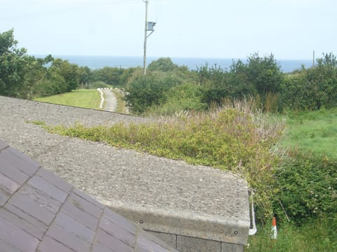 view from an upstairs window