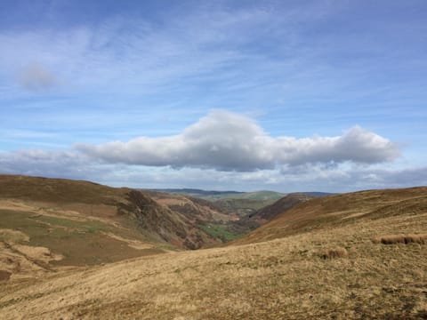 Gwardolau Cottage, Wye Valley Retreat.  Cottage in Wales