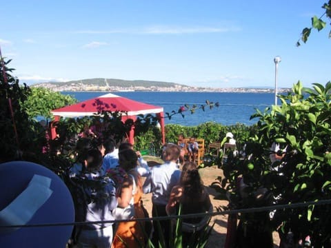 garden with parking place