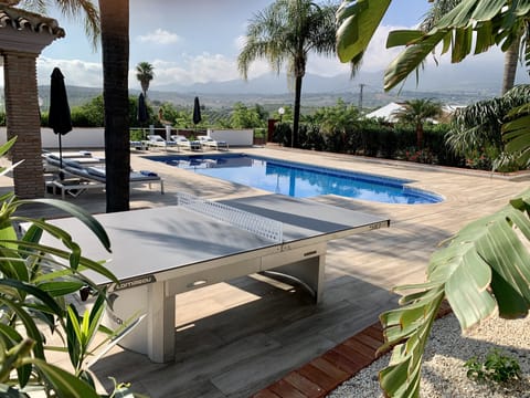 Professional standard table-tennis table