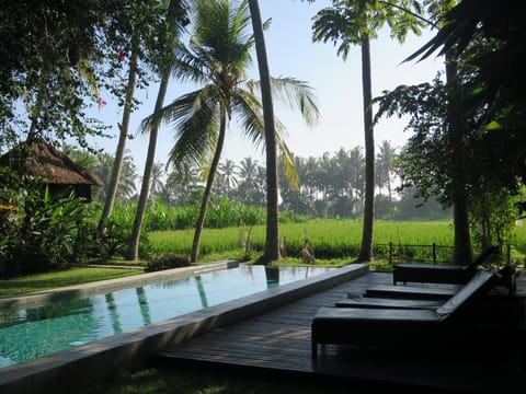 pool overlooking rice fields