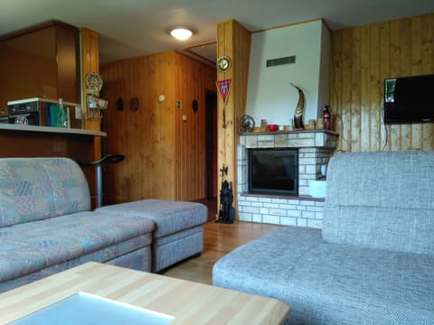 Living room with indoor fire place