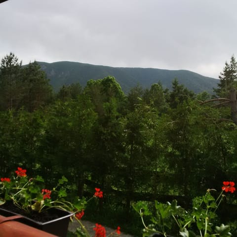 Mountain view from balcony