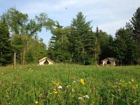 Our four glamping tents are spaced for privacy