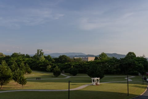 Balcony View
