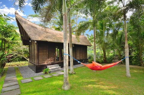 Relax in the hammock hung within a circle of towering palms
