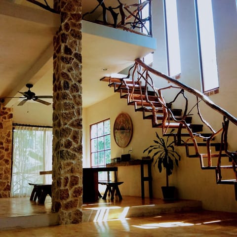 View from the entrance door