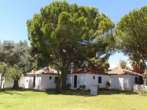 Outside View of The House. It is the one on the middle, just bellow the Tree