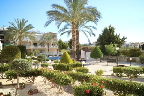 Standing on the veranda, looking at the garden and pool.