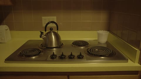 Stove Top with tea kettle 