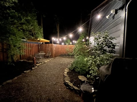 back yard with bistro lighting