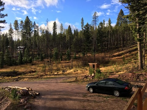 View from the entrance 