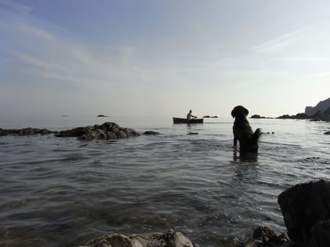 Solitude in the bay, 2 minutes walk from the cottage. Heaven!