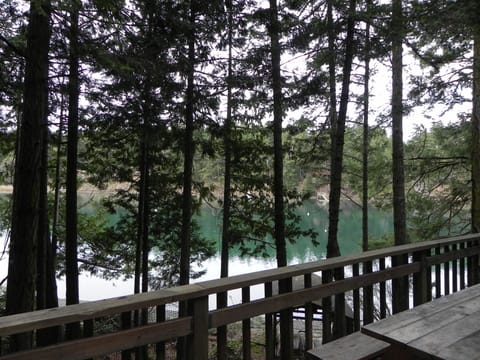View from the deck.