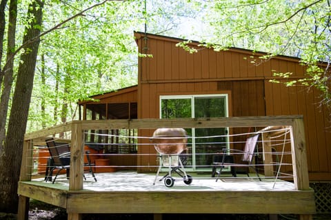 SOUTHERN ILLINOIS CABINS 