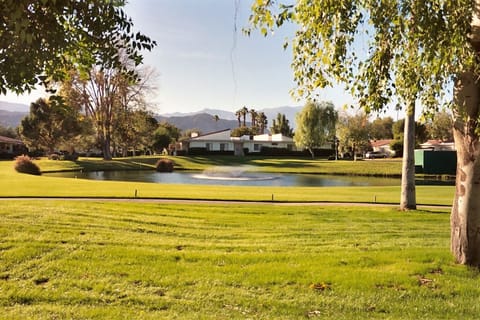 View from patio