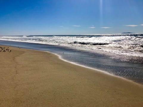Two houses away from Mandalay beach! See Channel Islands off our coast. 