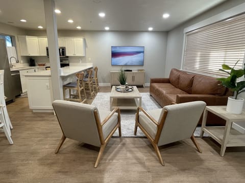 Living / Kitchen Area