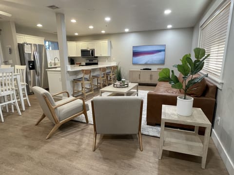 Living / Kitchen Area