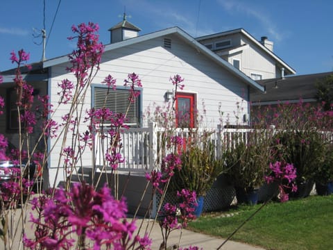 "THE ORCHID COTTAGE"